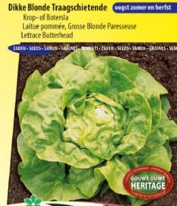 lettuce_dikke_blonde_traagschietende_full