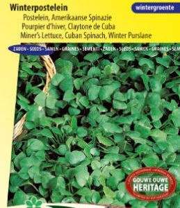 purslane_winter_full