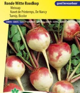 turnip_bicolor_ronde_witte_roodkop_full